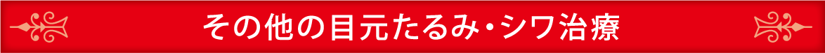 その他の目元たるみ・シワ治療